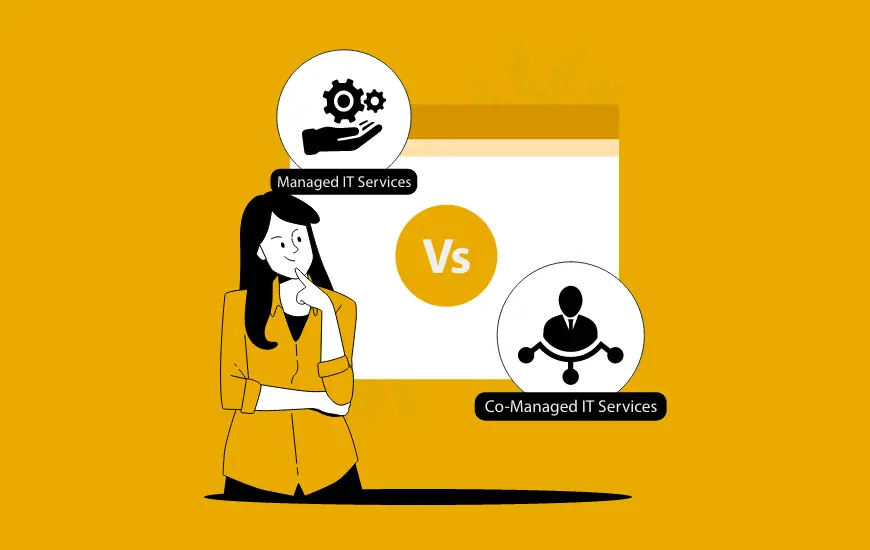 Managed vs. co-managed IT services